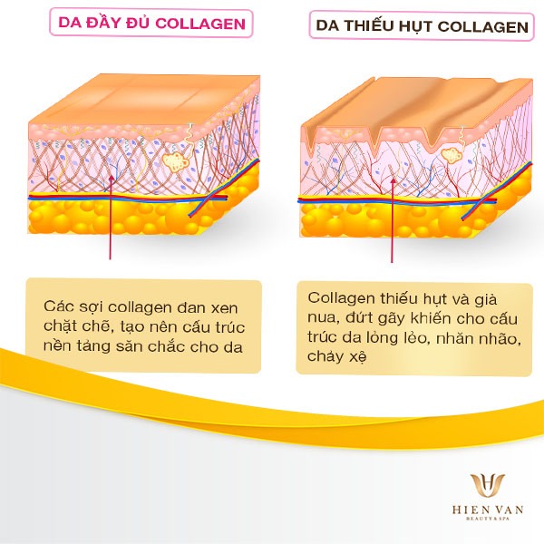 Sự khác nhau của da khi đầy đủ và thiếu hụt collagen