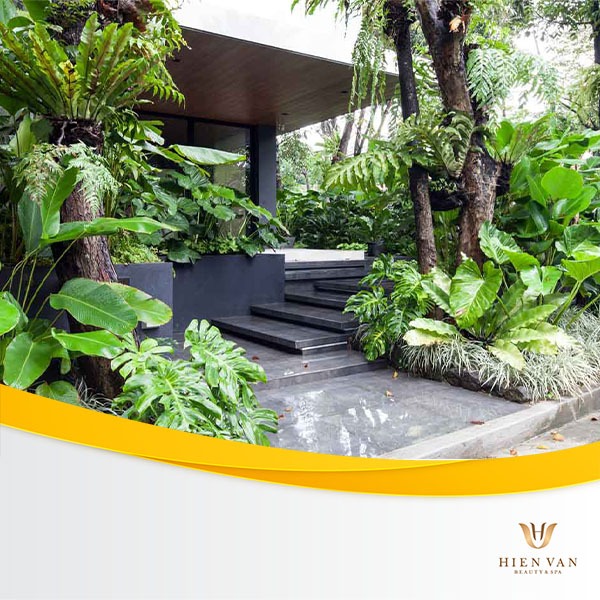 Không gian sống và làm việc khác nhau làm kết quả điều trị sẹo rỗ khác nhau