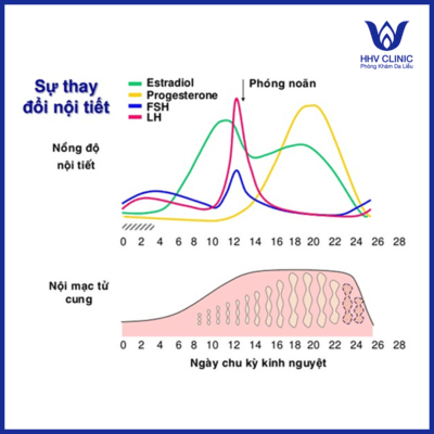 Không nên đi triệt lông khi hành kinh vì hormone thay đổi làm cơ thể bạn đang yếu và rất dễ nổi nóng, căng thẳng