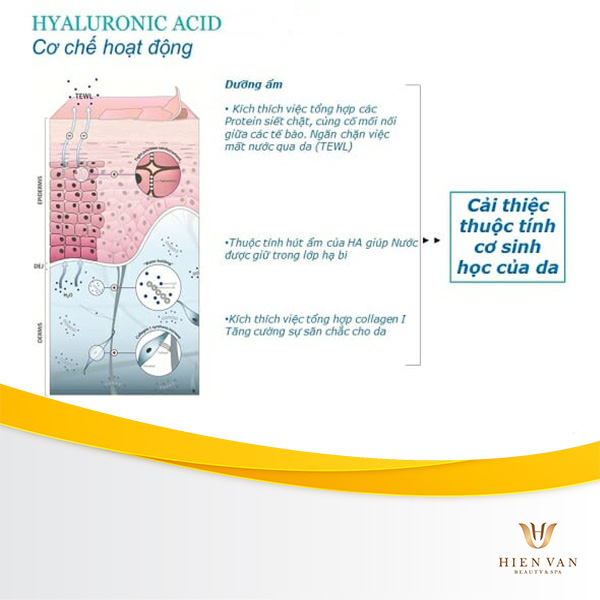 HA là một trong các thành phần dùng để phục hồi sau khi lăn kim trị sẹo rỗ