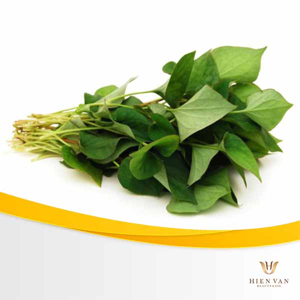 trị mụn mủ bằng rau diếp cá