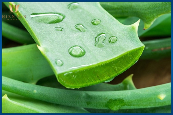 cách trị thâm mông tại nhà bằng nha đam