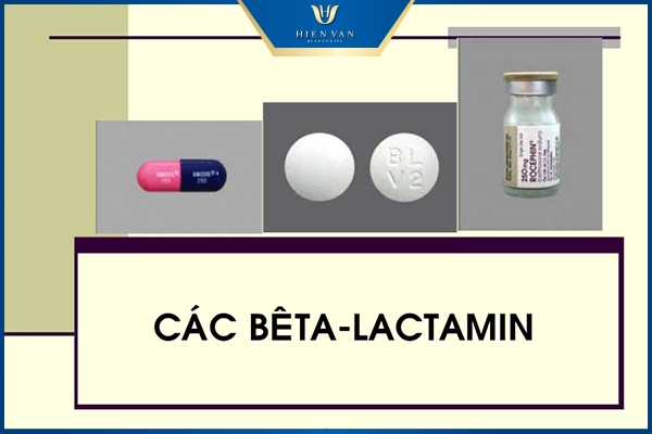 thuốc trị mụn lưng