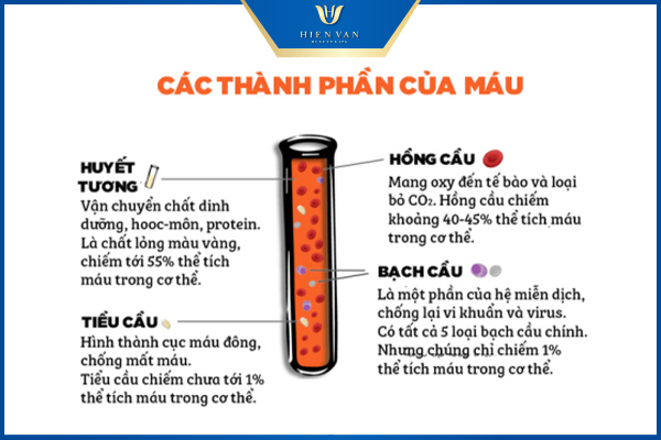 các thanh phần của máu