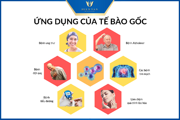 Tế bào gốc
