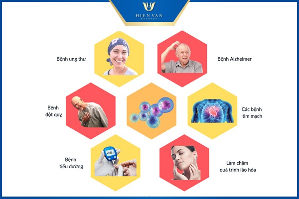 Công dụng tế bào gốc