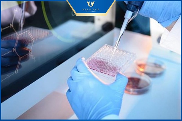 stem cells trị sẹo rỗ