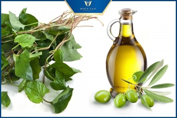 dầu ô liu và rau diếp cá