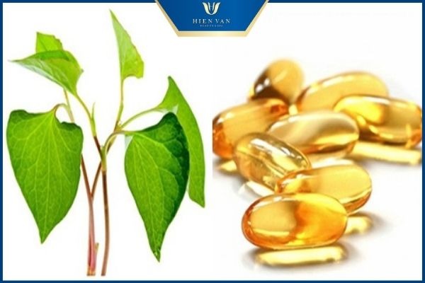 rau diếp cá vitamin e