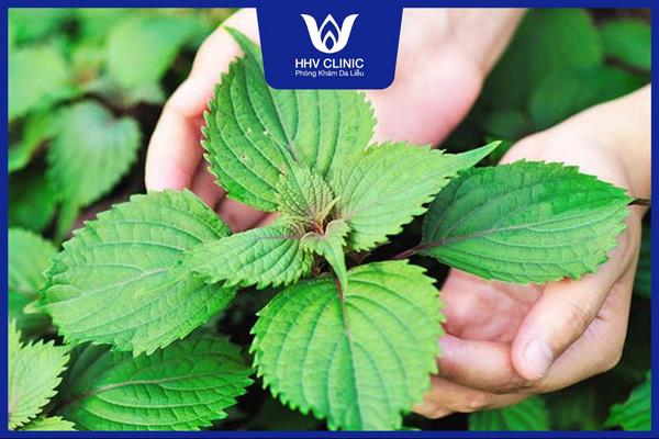 cach tri mun bang la tia to