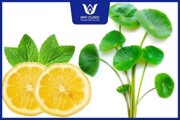 serum tri mun rau ma